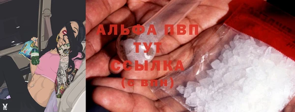 spice Баксан