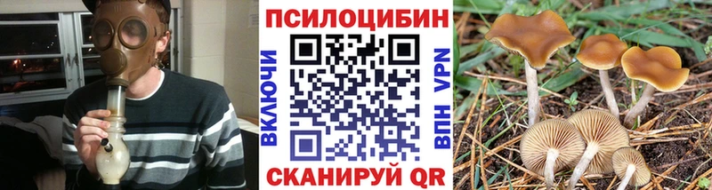 Псилоцибиновые грибы мицелий  где купить наркоту  МЕГА вход  Грязовец 