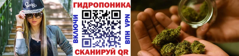 Шишки марихуана OG Kush  Грязовец 